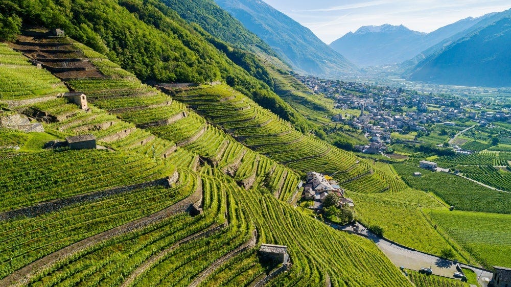 Valtellina Superiore - Italian Wine Region | Wine-Searcher
