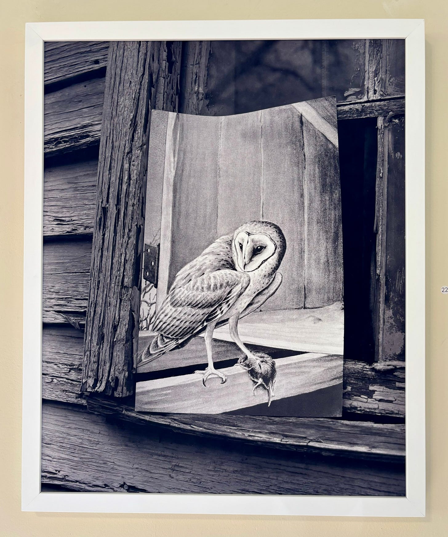 A black and white pohtograph by Rose Marasco in a white frame. The photograph shows a drawing of a barn owl perched on a barn placed on the windowsill of an abandoned building. 
