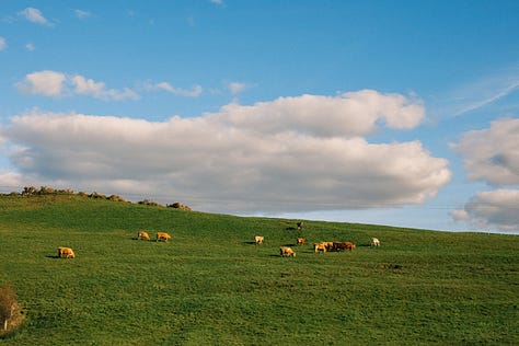 Ireland in Fuji photographs by Tyler Knott Gregson