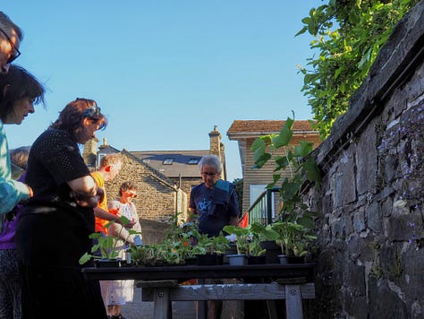 Gallery of pictures showing meal and plant sale