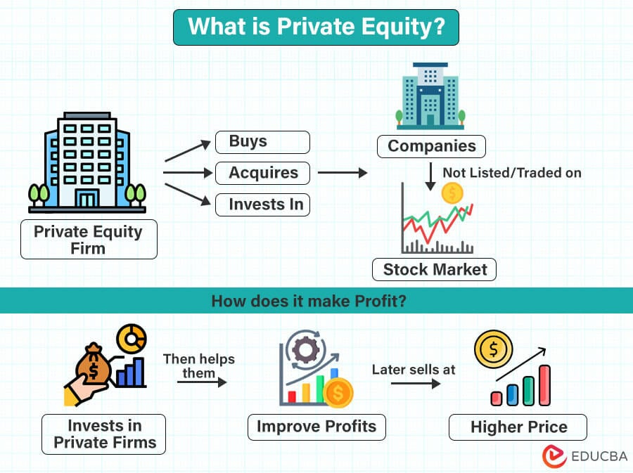 Private Equity: Meaning, Types, Examples & Process | eduCBA
