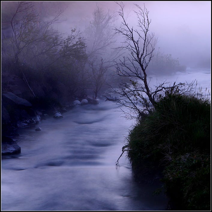 wild stream in a misty morning