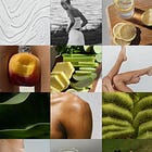 Day 15: 25 Daily Habits That Support Immunity