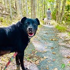Schooner Head Path (usually of quiet awesome)