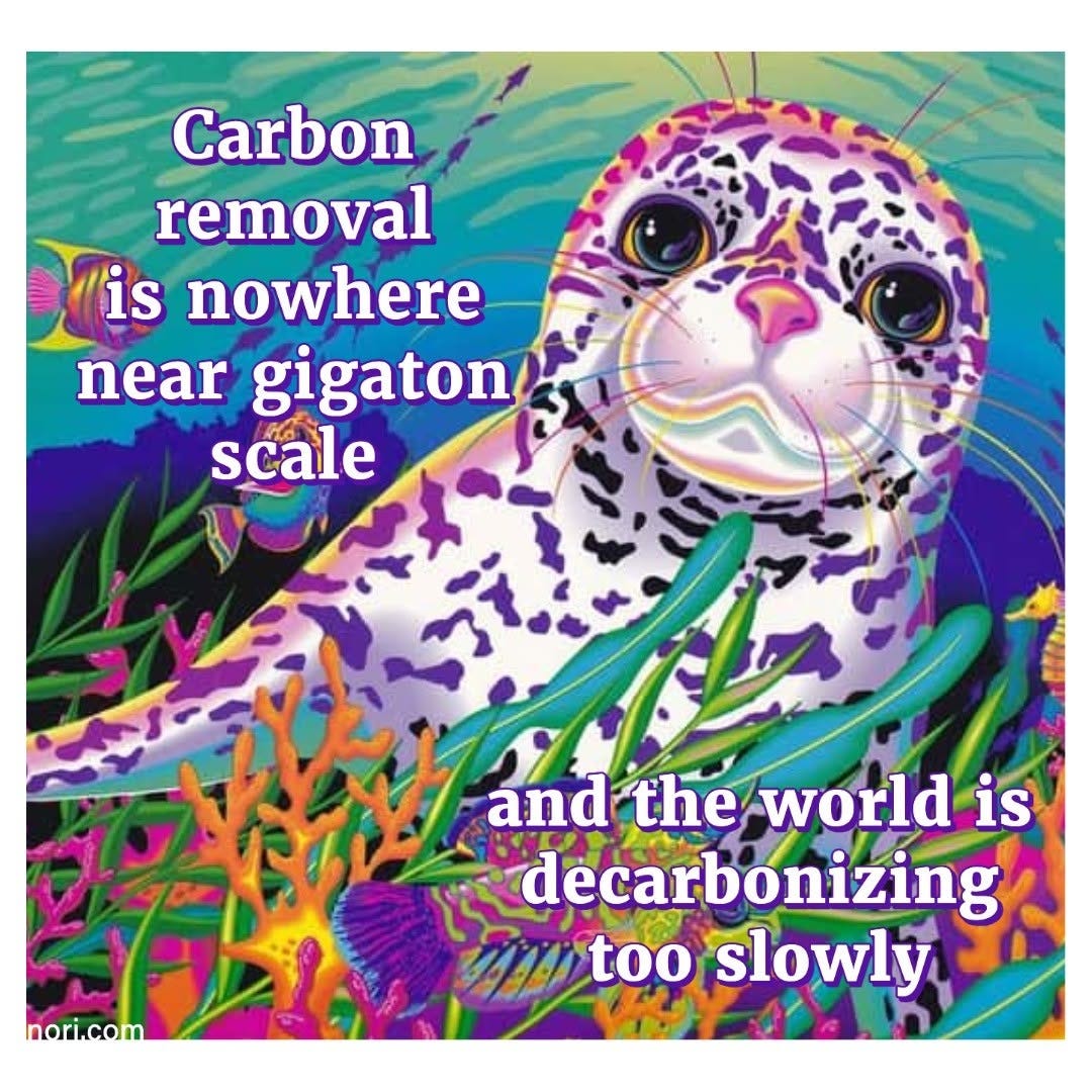 Lisa Frank style illustration of a leopard-print seal among coral. Text: "Carbon removal is nowhere near gigatonne scale, and the world is decarbonizing too slowly."