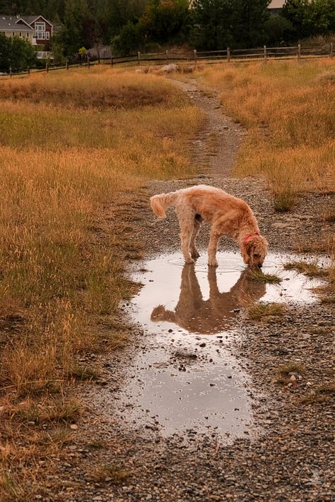 Fuji photographs of life in Montana by Tyler Knott Gregson