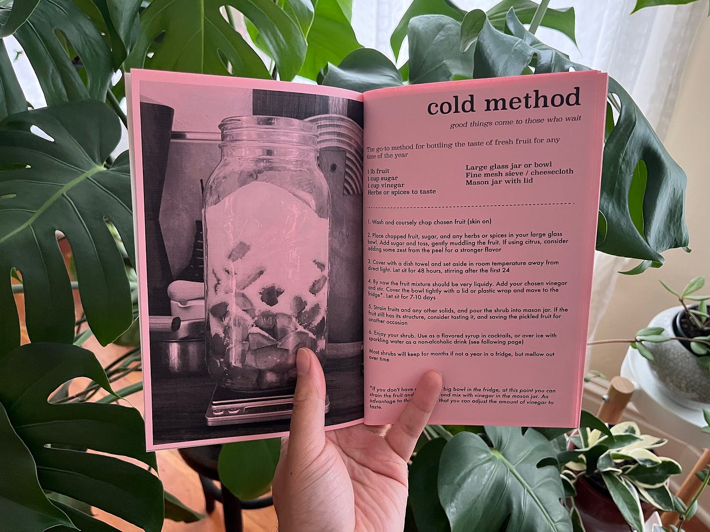 cold method recipe for making shrubs
