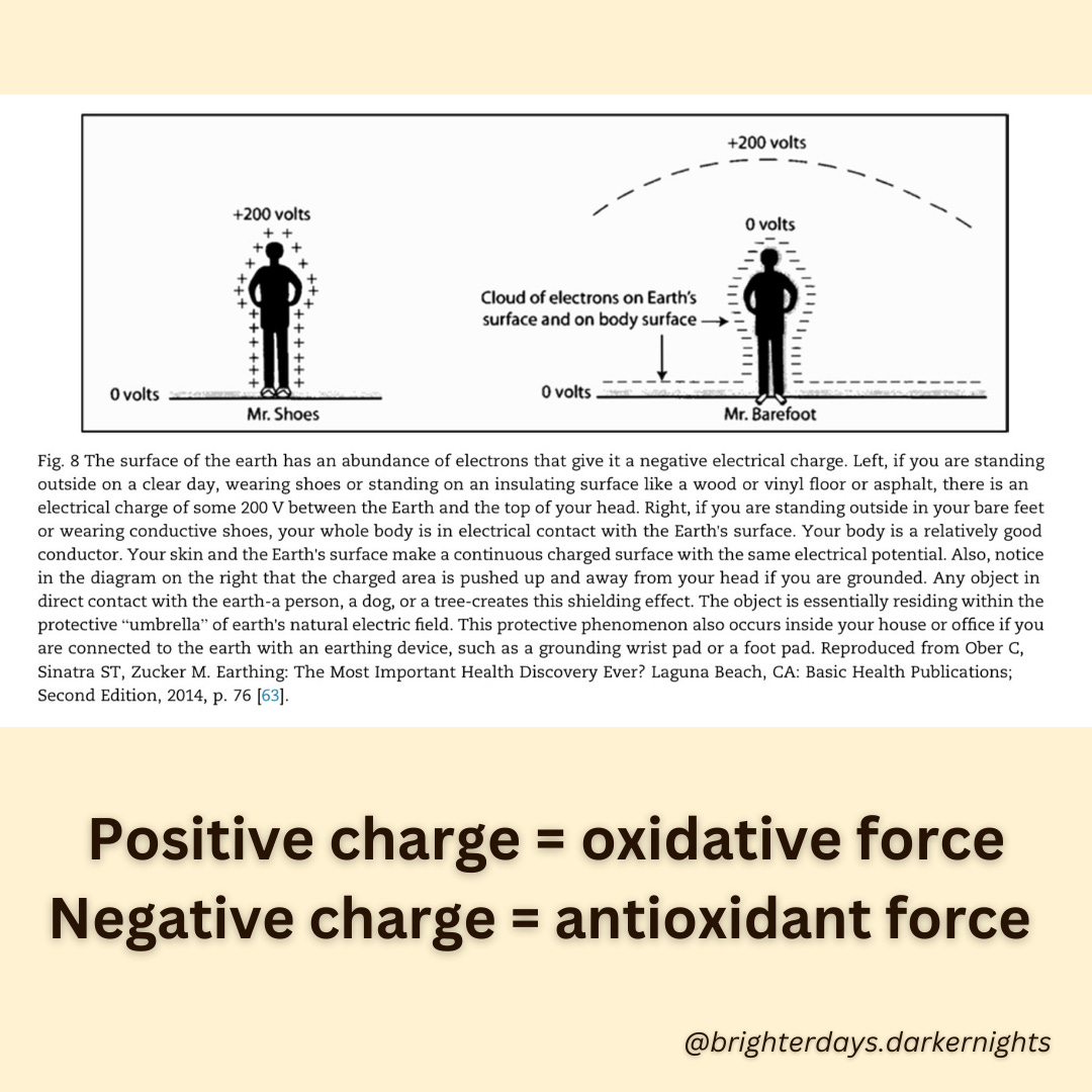 3rd batch - 22.png 3rd batch - 22.png