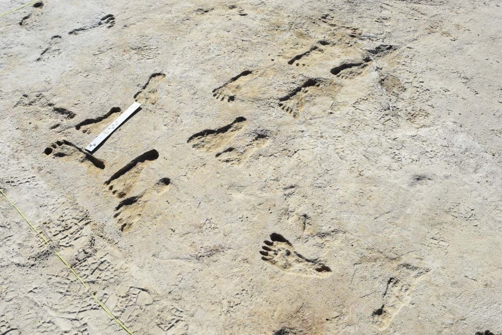The Oldest Human Footprints in North America Could Redefine Prehistory as We Know It—and It's All Thanks to These Tiny Seeds The Oldest Human Footprints in North America Could Redefine Prehistory as We Know It—and It's All Thanks to These Tiny Seeds
