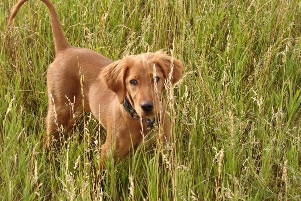 No photo description available.