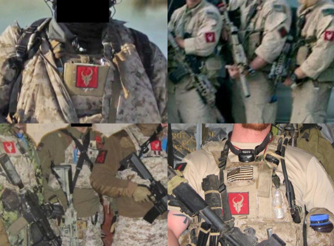 Do any fans know how US Seal Team 6, Red Squadron wound up with the Demon  Hunter Logo on their uniforms? : r/demonhunter