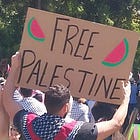 MORAL COLLAPSE: Greens, toxic Islam, left, all want Israel destroyed, won't expel Hamas - and are now race-baiting Aboriginal people