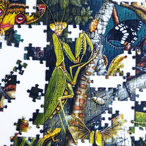 Art and Fable Mantis Mundi Jigsaw Puzzle