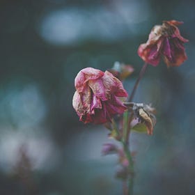 What if everything you’re doing is pointless?