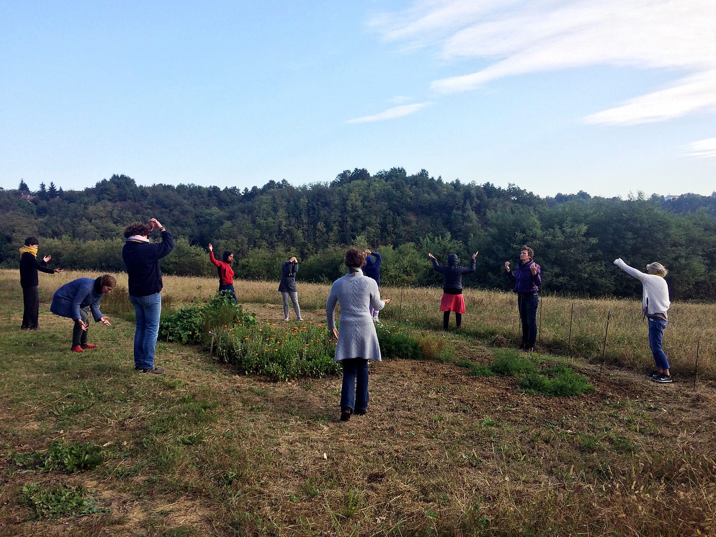 Our morning ritual - an hour of eurhythmics. Here, we had just spent a few minutes looking at some plants, and were then asked to capture their character through body movements. Sometimes you don't ask questions.