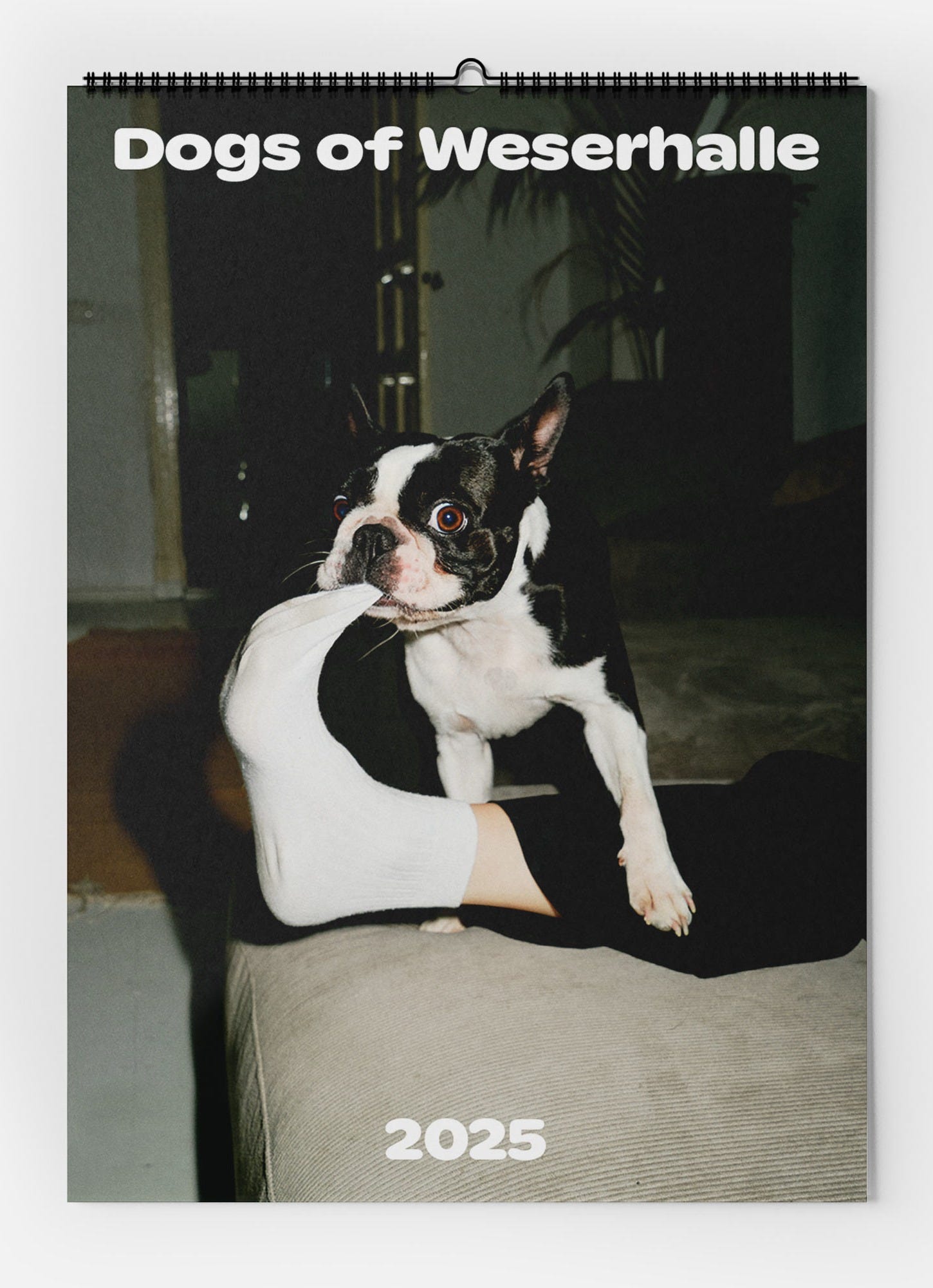 dogs-of-weserhalle-calendar-2025-01