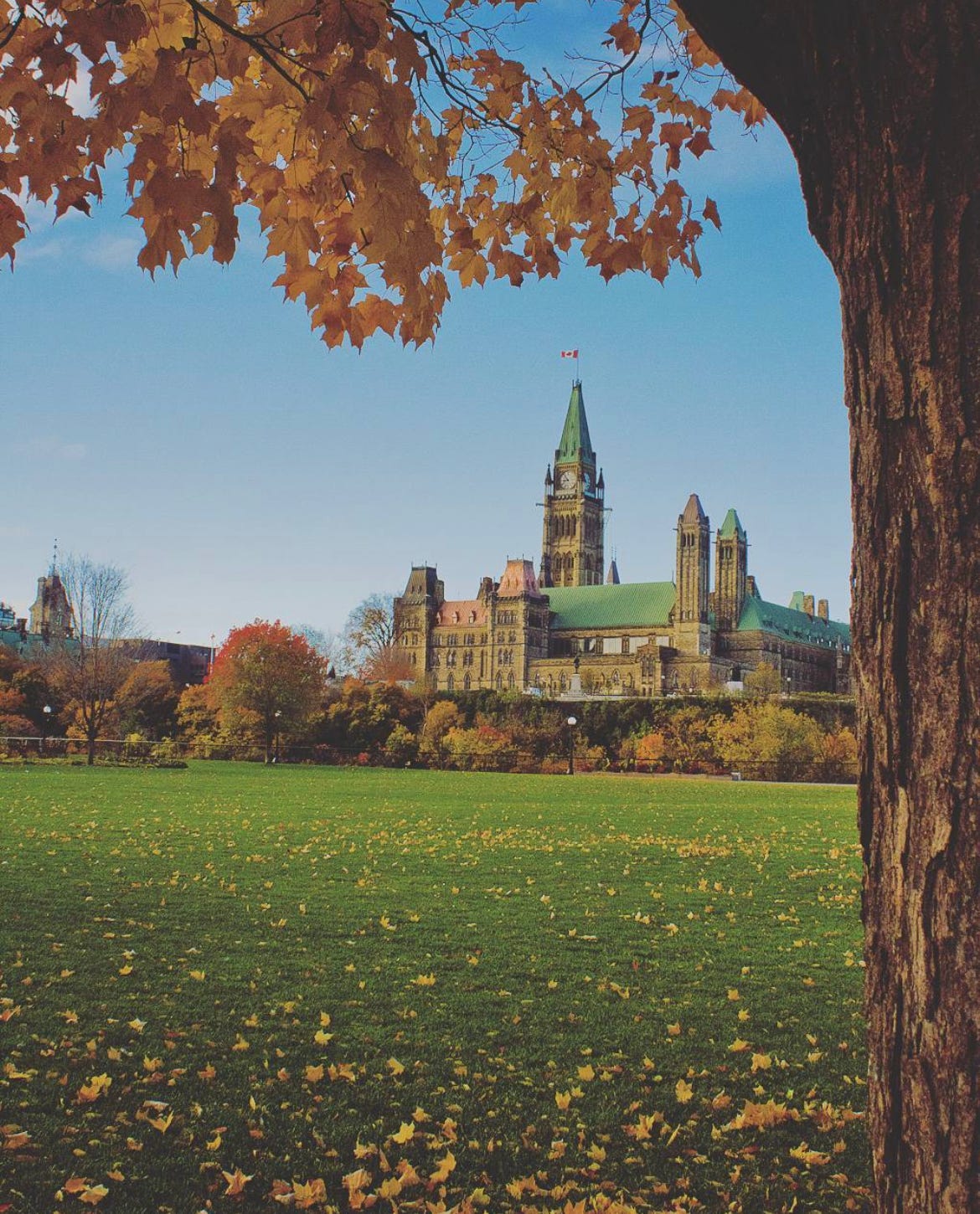 The Parliament Building in Ottawa.