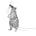 Field Rat’s Substack