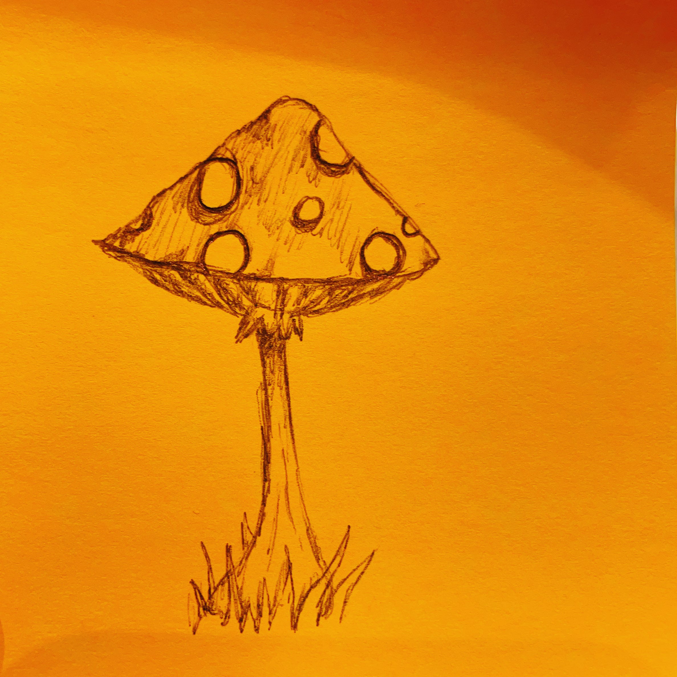 Substack profile picture for @unearthed