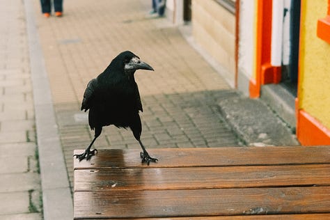 Ireland in Fuji photographs by Tyler Knott Gregson