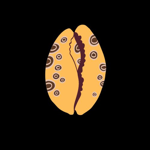 Cowrie Shell Archives