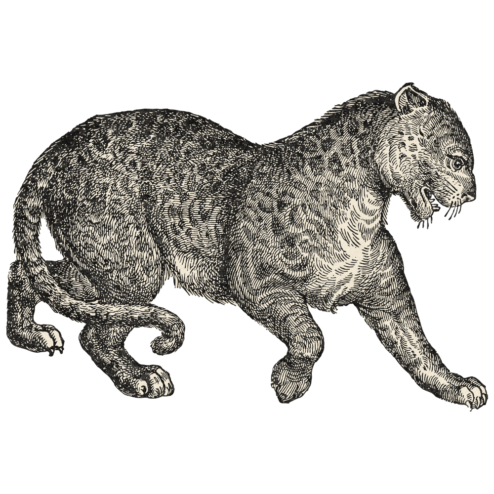 The Business of Luxury