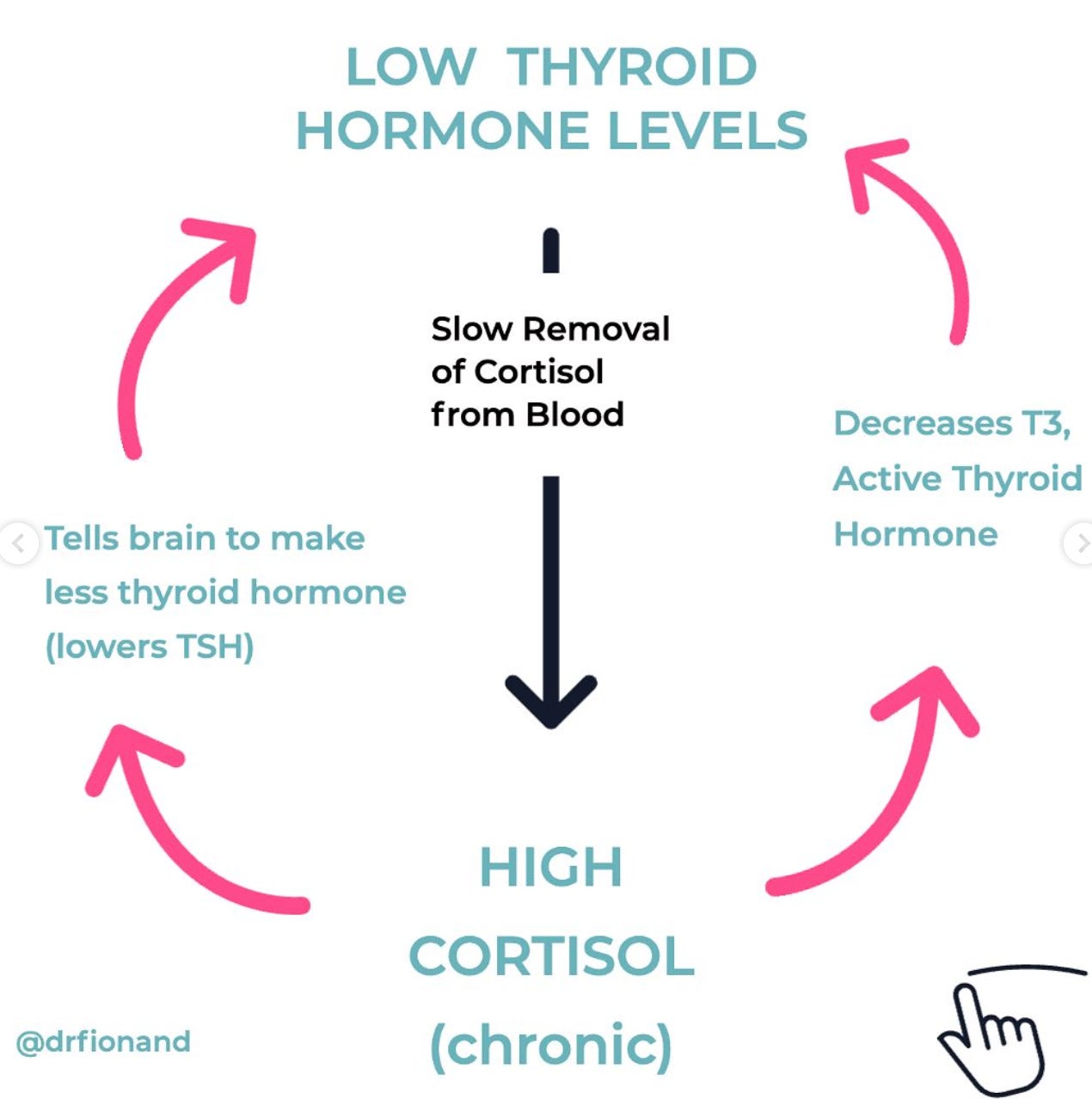 How Cortisol Affects Your Thyroid: The Connection Explained How Cortisol Affects Your Thyroid: The Connection Explained