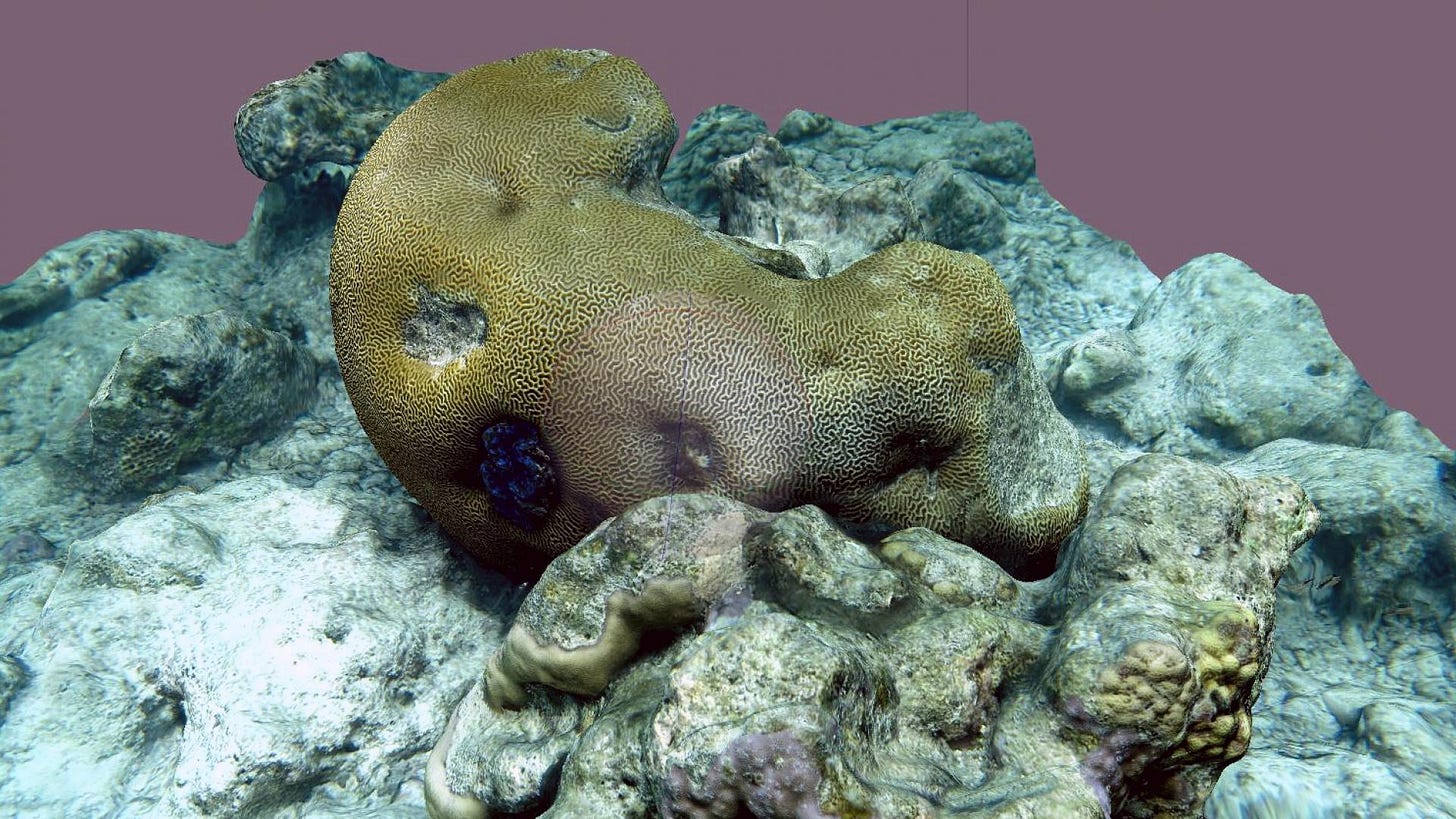 Next-Gen Mapping and Monitoring of Coral Reefs with SLAM and SfM | AI |  KAUST AI Initiative