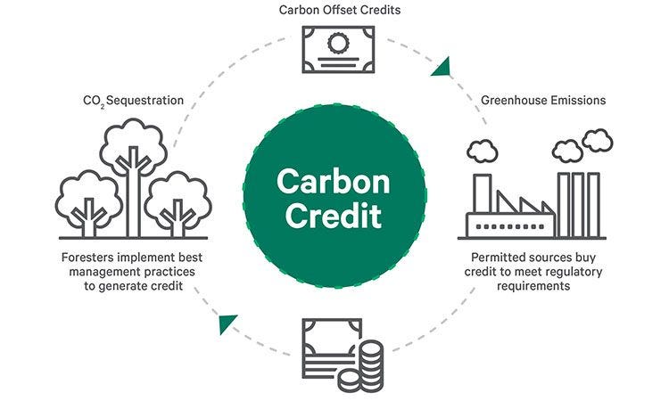 How carbon offsetting work? 