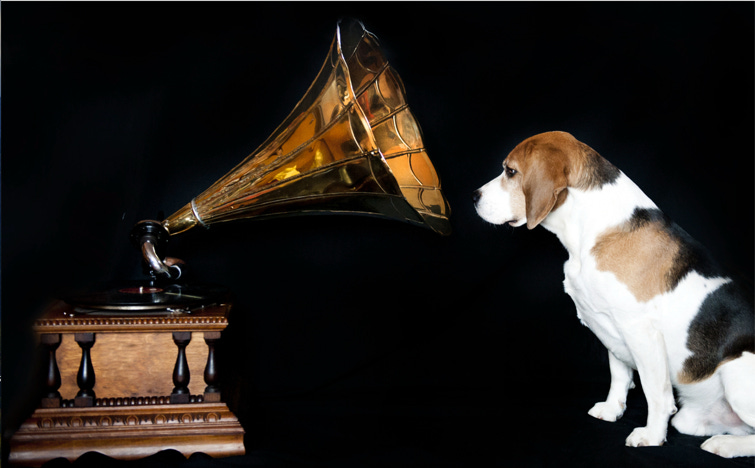 A dog looking at a gramophone

Description automatically generated