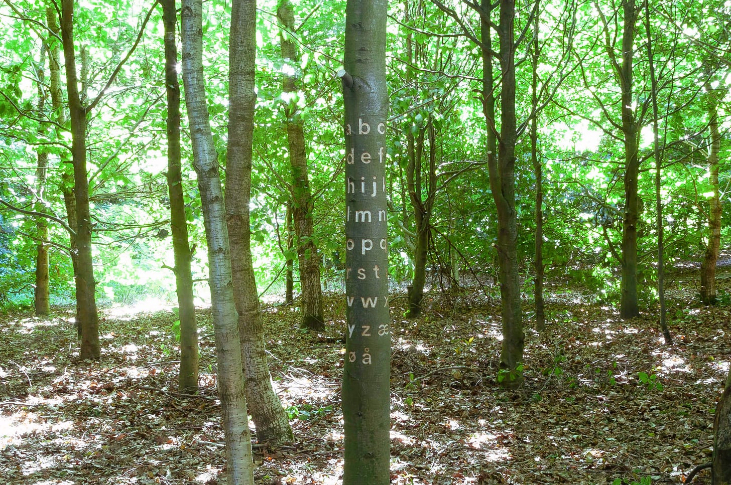 tree