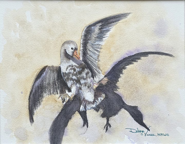 Four of Debra Vance's Watercolor paintings. 