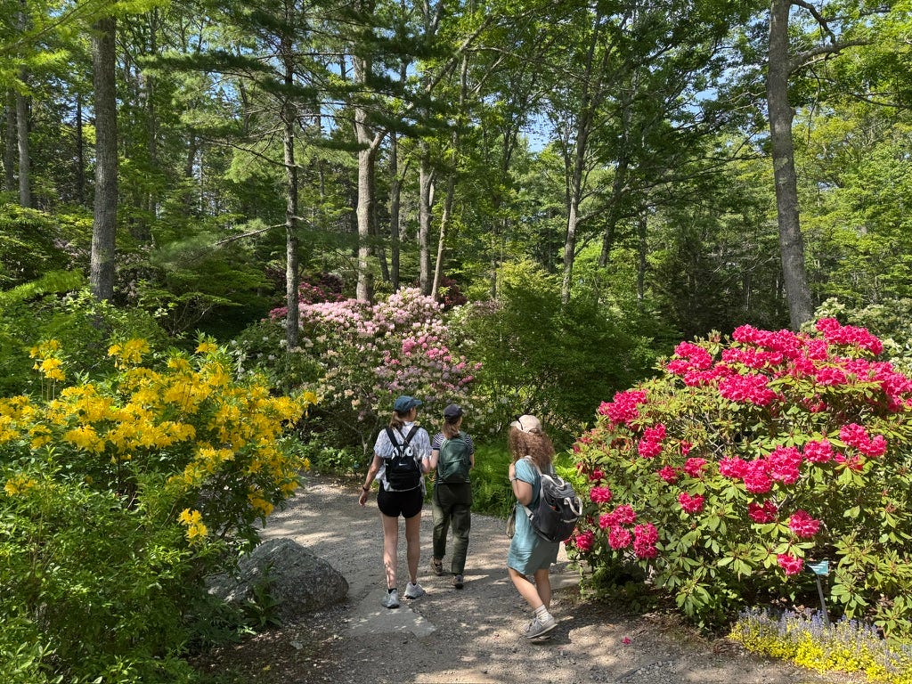 K. Woodman-Maynard and her friends explore a flowering lush forest landscape on a creative retreat in Maine. K. Woodman-Maynard and her friends explore a flowering lush forest landscape on a creative retreat in Maine.