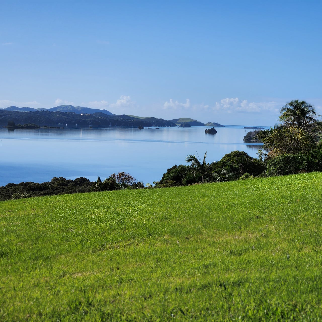 Thoughts from the North