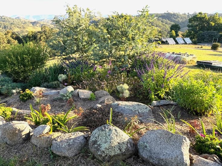 rock garden rock garden