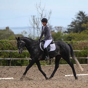 Dressage league finale at Knockagh View