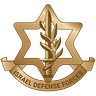 Mission Brief (Official IDF Substack)