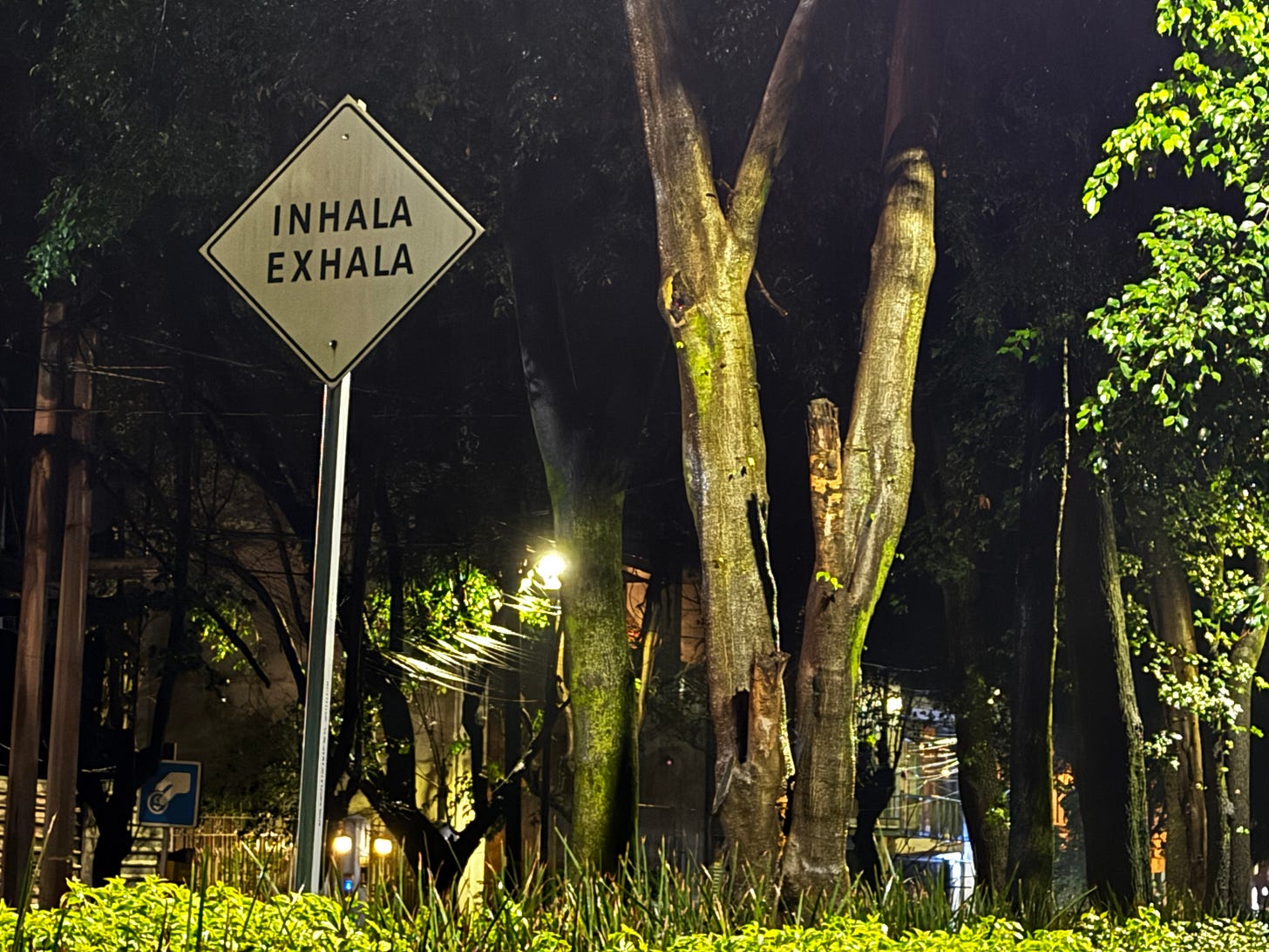 quiet street, Mexico City