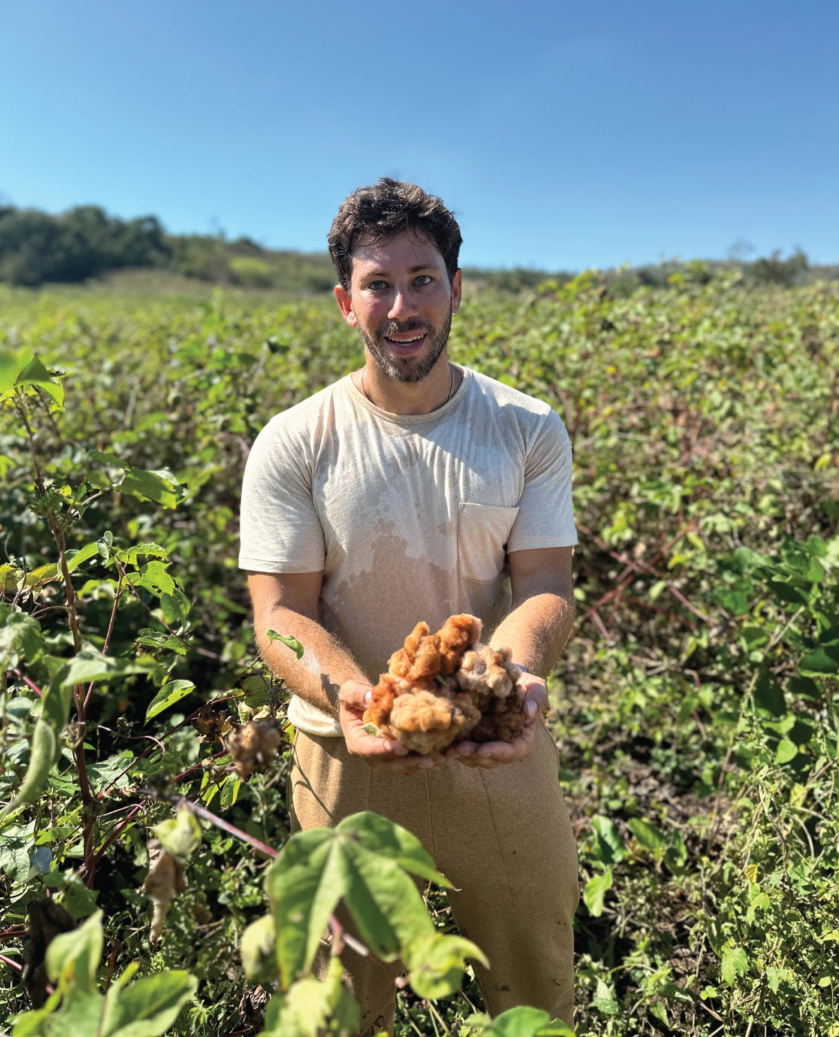 Brown Cotton Brown Cotton