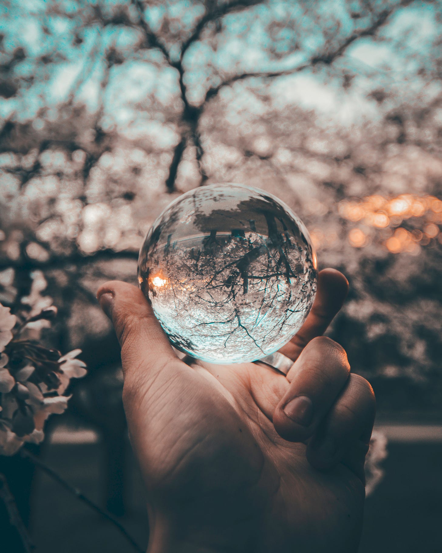Psychologists and chronic illness