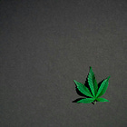 The Green Rush: Challenges, Careers, and Equity in Cannabis Retail