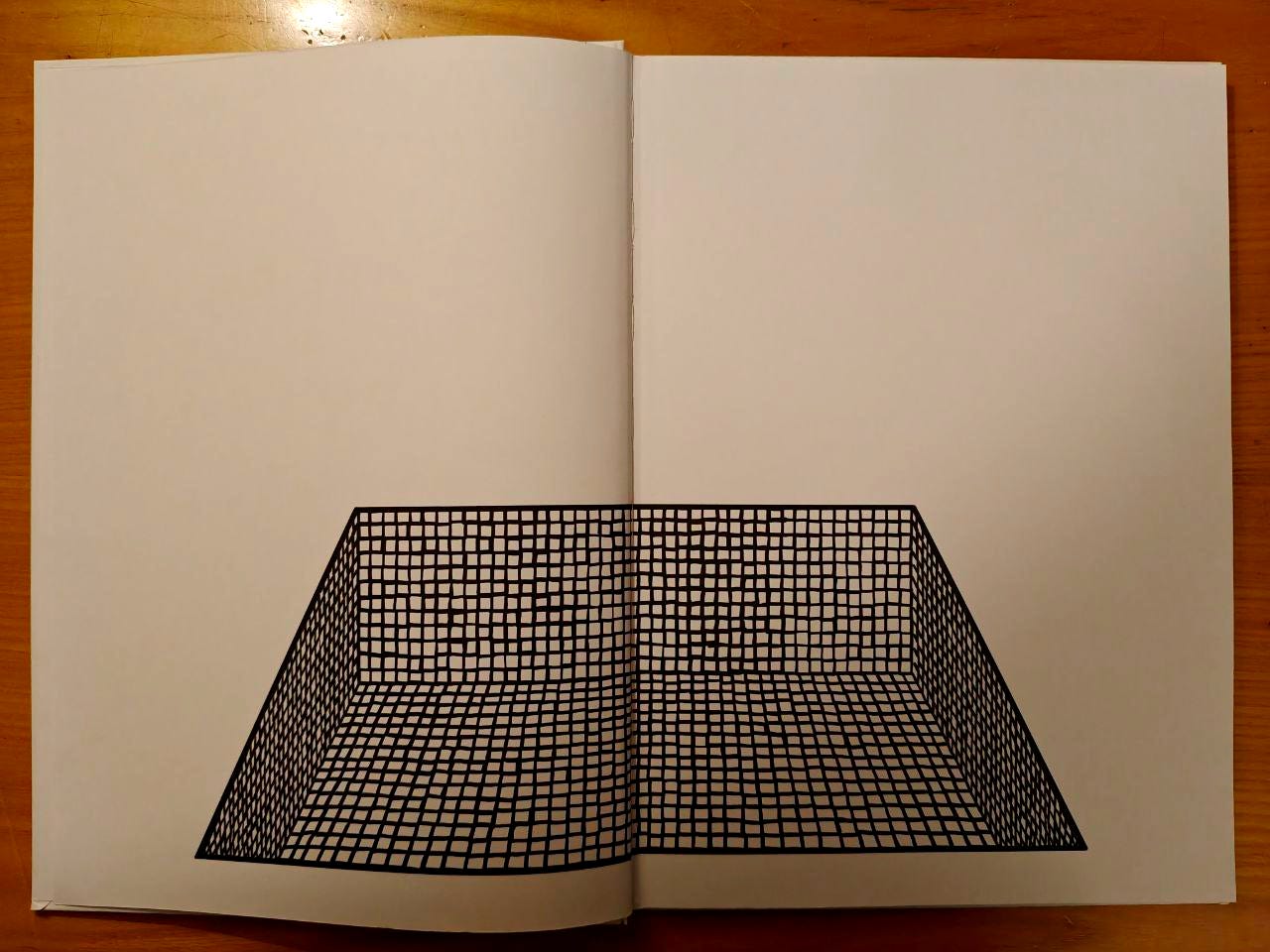 Illustrazione minimalista a doppia pagina tratta dall'interno di un libro. Su uno sfondo completamente bianco, nella metà inferiore, è disegnata in nero la struttura prospettica di una vasca rettangolare o di una piscina vuota, formata da una fitta trama a quadretti che ricorda un mosaico di piastrelle. Illustrazione minimalista a doppia pagina tratta dall'interno di un libro. Su uno sfondo completamente bianco, nella metà inferiore, è disegnata in nero la struttura prospettica di una vasca rettangolare o di una piscina vuota, formata da una fitta trama a quadretti che ricorda un mosaico di piastrelle.