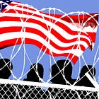 Mass Incarceration