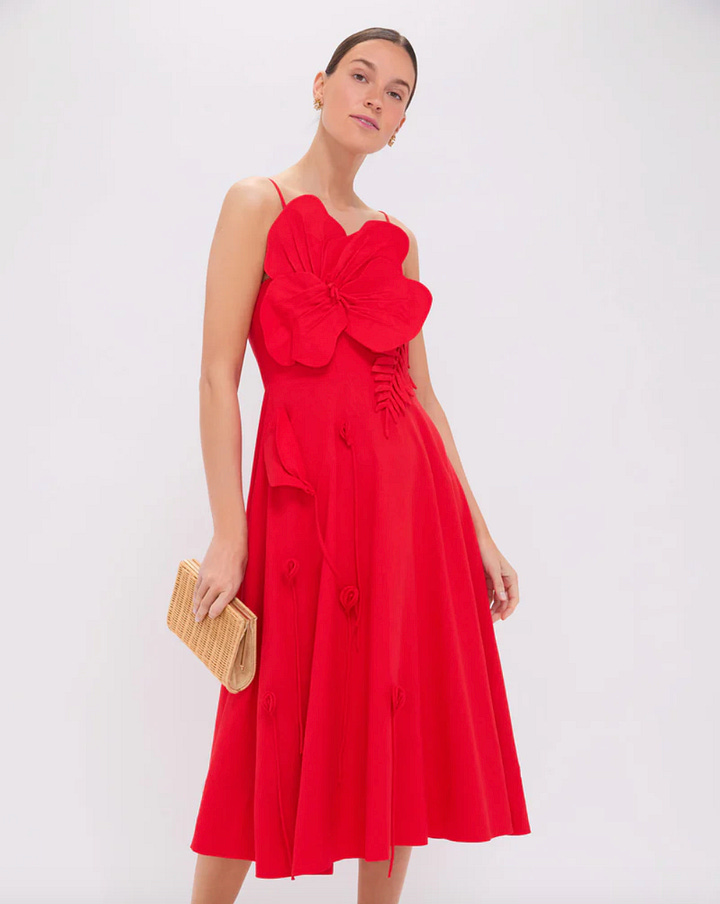 Anthropologie midi dress, Farm Rio midi, Farm Rio mini and Juliet Dunn exclusive for Tuckernuck maxi dress.