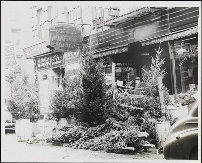 Making Green: The history of New York's Christmas tree market - The Bowery  Boys: New York City History