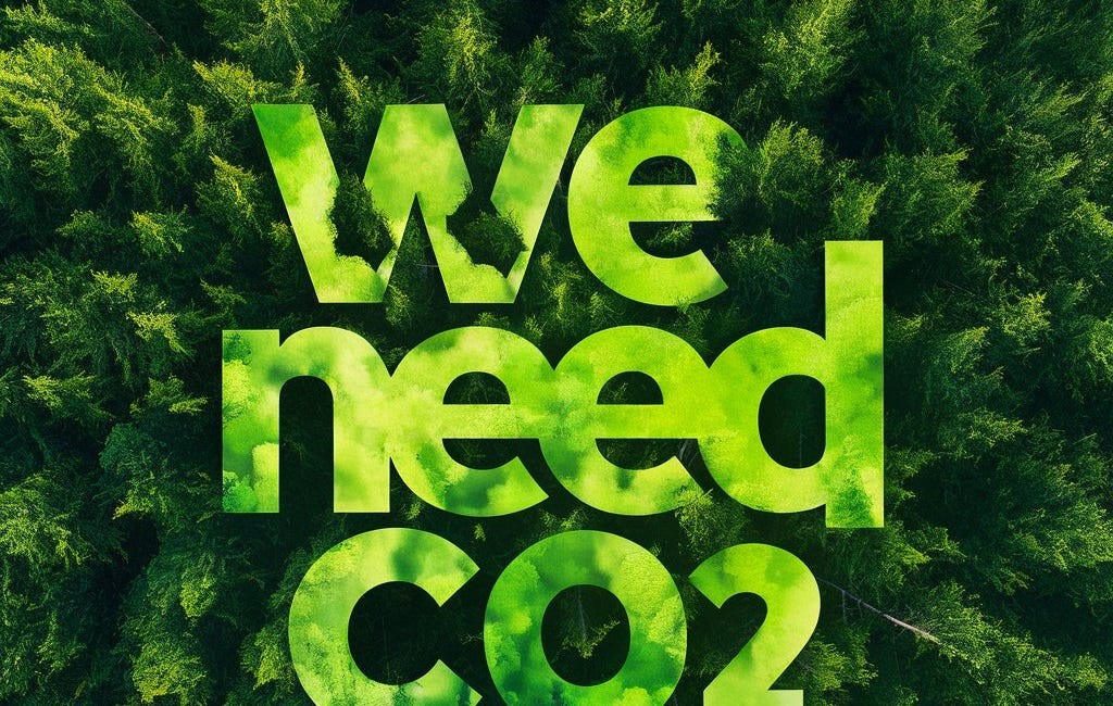 Reactie op Adviesraad: de waanzin van CO2-verwijdering 