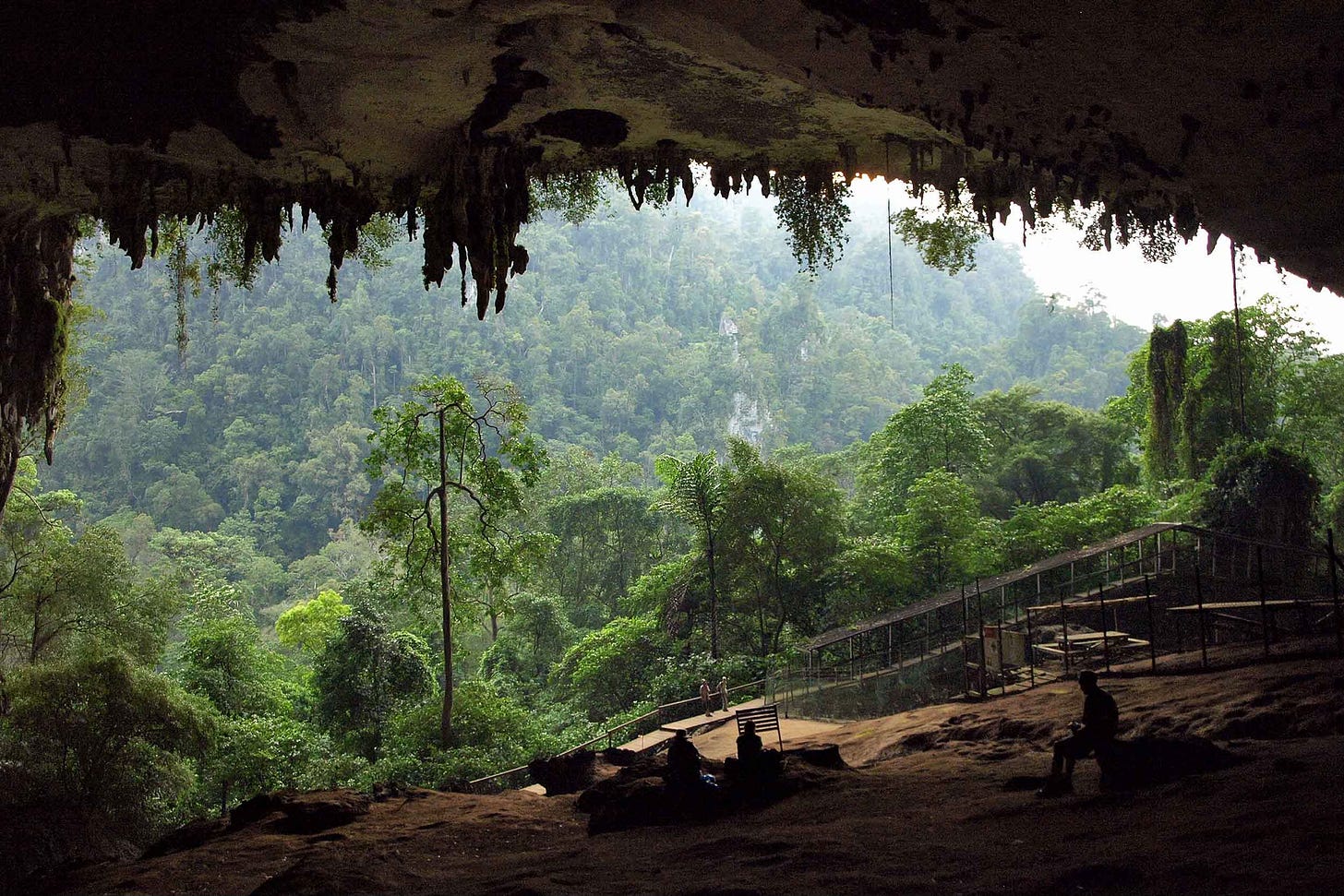 Photo of cave entrance from inside, showing walkway and scaffolding at right and green forest outside the entrance