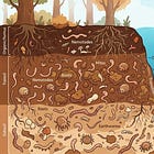 Welfare Biology and AI: Soil and Sea