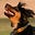 Rob McMillin's avatar