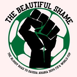 The Beautiful Shame